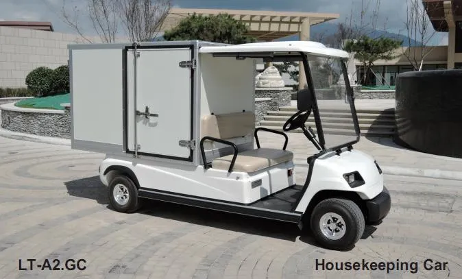 2 Person Electric Hotel Cart with Cargo Box