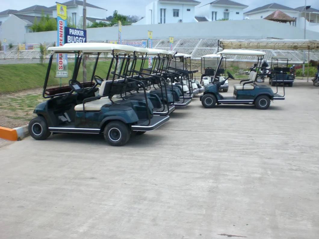 2 Seaters 4 Wheel Electric Golf Cart (LT_A2)