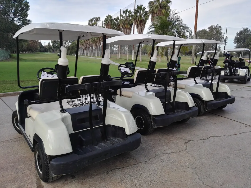 2 Seaters 4 Wheel Electric Golf Cart (LT_A2)