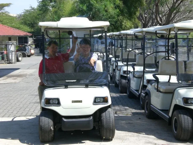 2 Seaters 4 Wheel Electric Golf Cart (LT_A2)