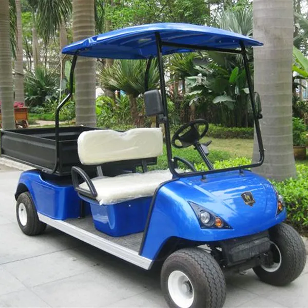 2 Seats Electric Golf Shipping Cart with Cargo Box (DU-G4L)