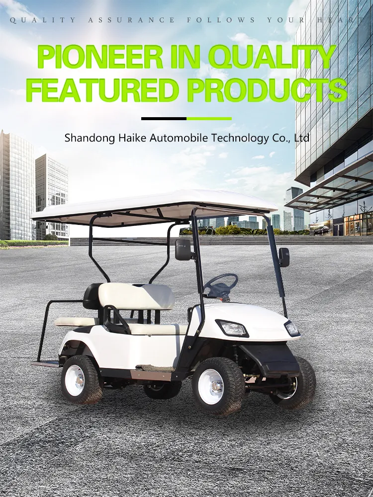 20-30% Hike VIP Container 2700*1200*1800mm Electric Cart Golf Car with ISO