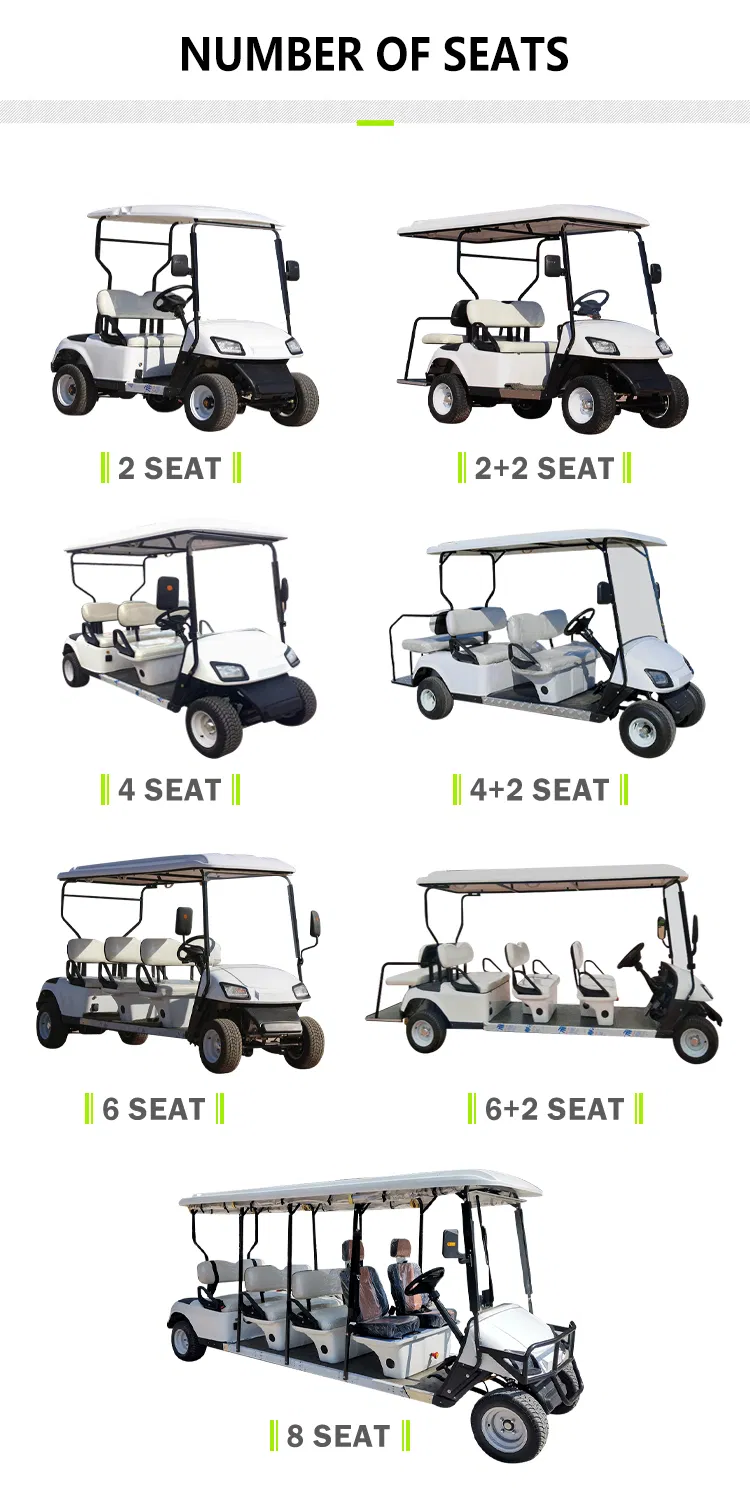 20-30% Hike VIP Container 2700*1200*1800mm Electric Cart Golf Car with ISO