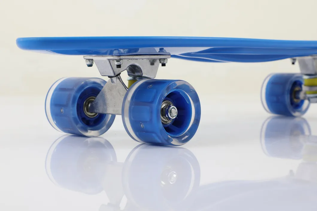 22 Inch Skate Board Hot Sales Plastic Fish Skateboard