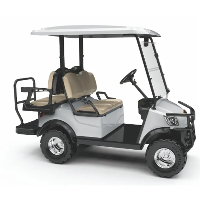 4 Seater 48V Electric Lifted Cart Battery Powered Golf Cart with Folded Back Seat (DH-M2+2)