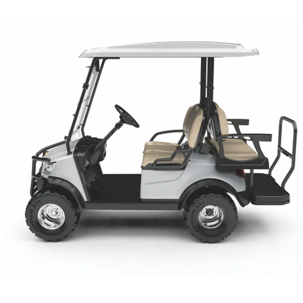 4 Seater 48V Electric Lifted Cart Battery Powered Golf Cart with Folded Back Seat (DH-M2+2)