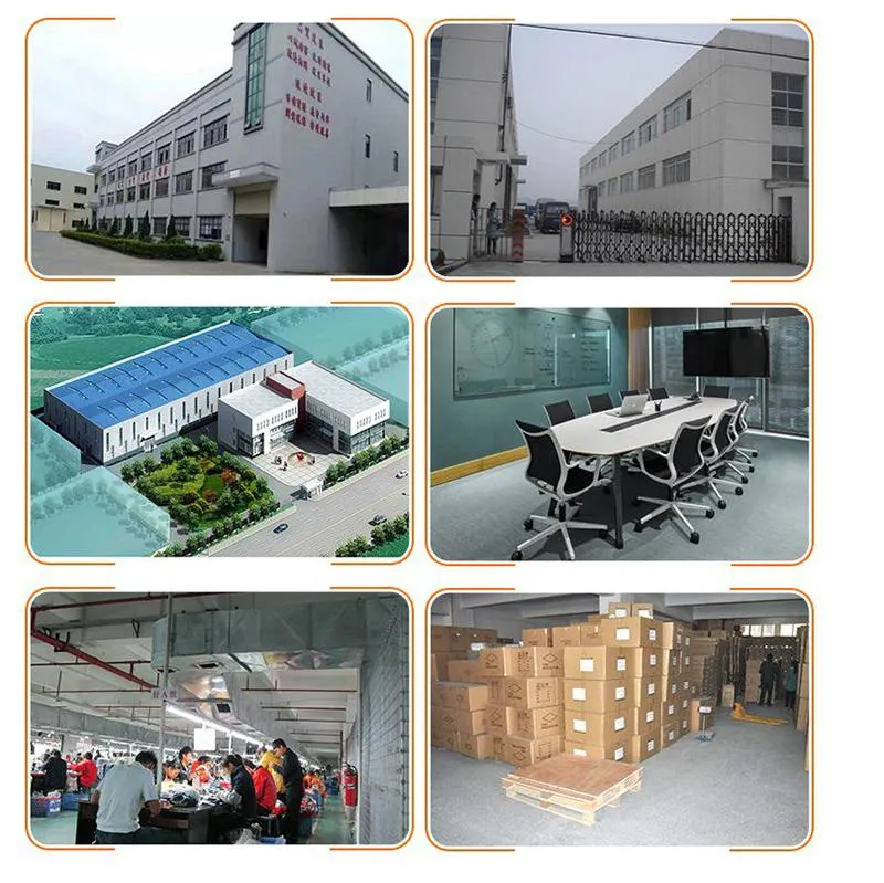 4-Wheel Professional Skateboard Adult Wooden Skateboard Long Skateboard/Maple Deck Skateboard