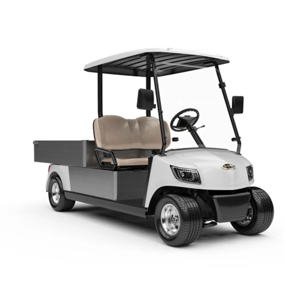 48V Battery Operate Utility Vehicle Electric Utility Golf Car with Two Seats for Sale (DG-M2 + Cargo box)