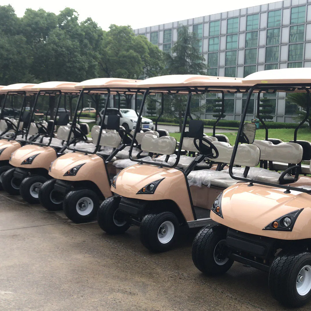 6 Seater Electric Powered Golf Cart From China