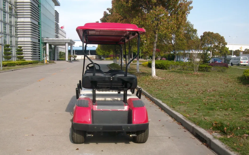 8 Seats 48V 4kw Golf Cart