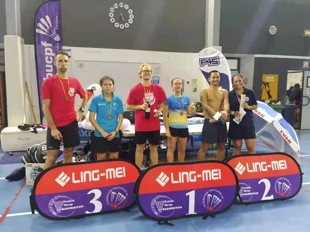 Aeroplane Black Eg1130 Quality Class a Goose Feather Badminton Shuttlecock