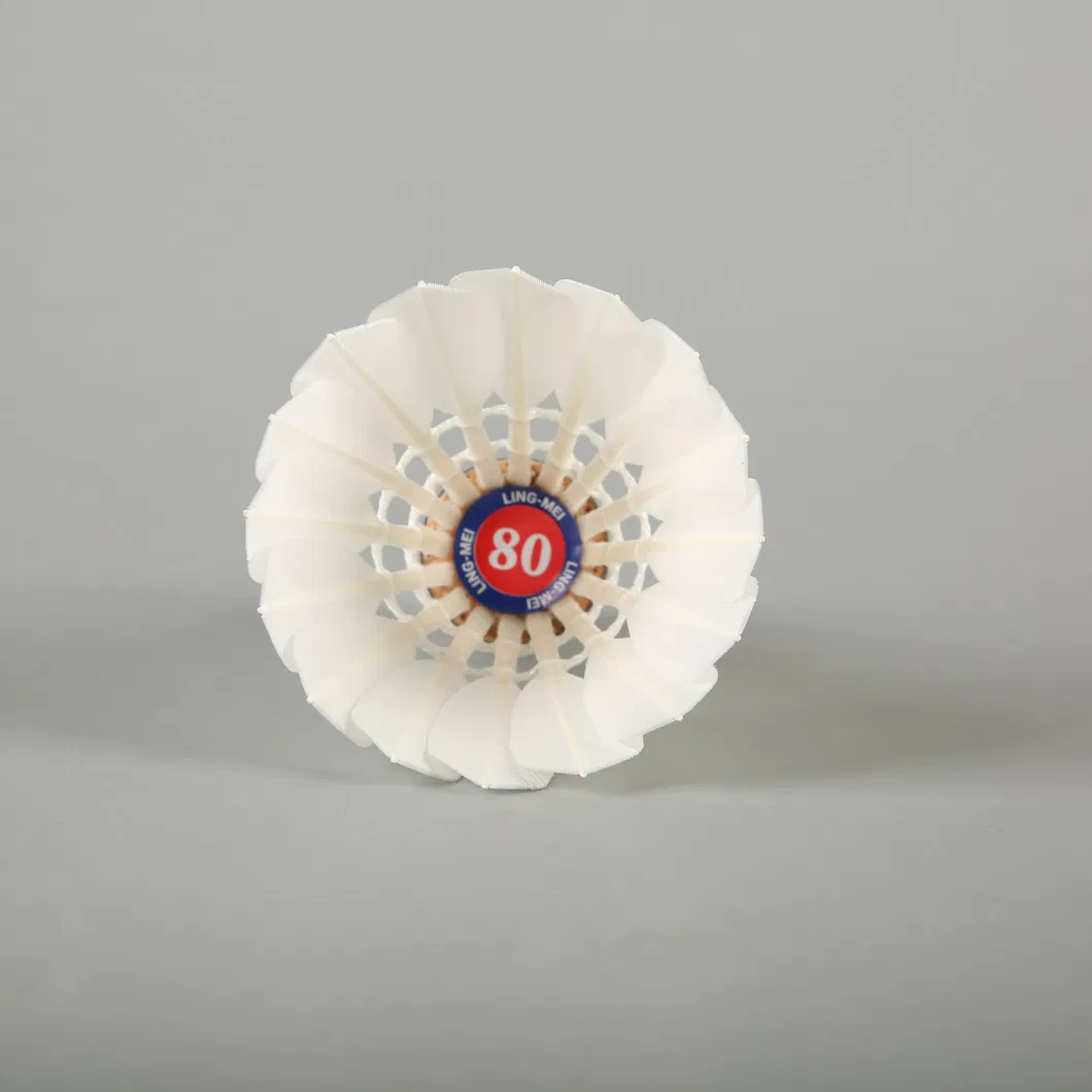 Aeroplane Black Eg1130 Quality Class a Goose Feather Badminton Shuttlecock