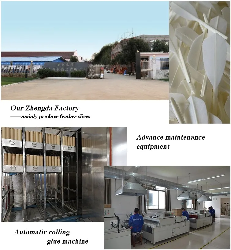 Aeroplane Black Eg1130 Quality Class a Goose Feather Badminton Shuttlecock