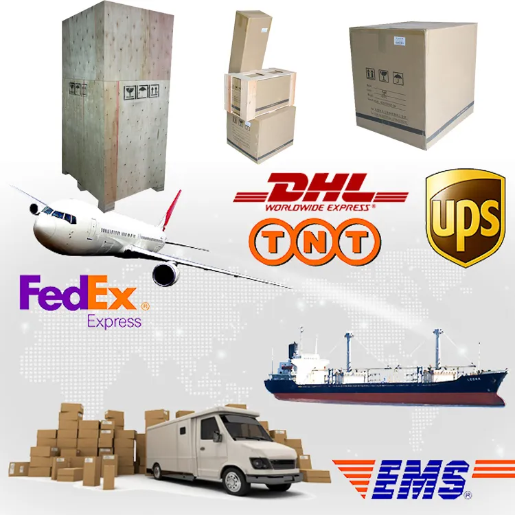 Basketball Training Equipment Machine for Sale (S6829-2)