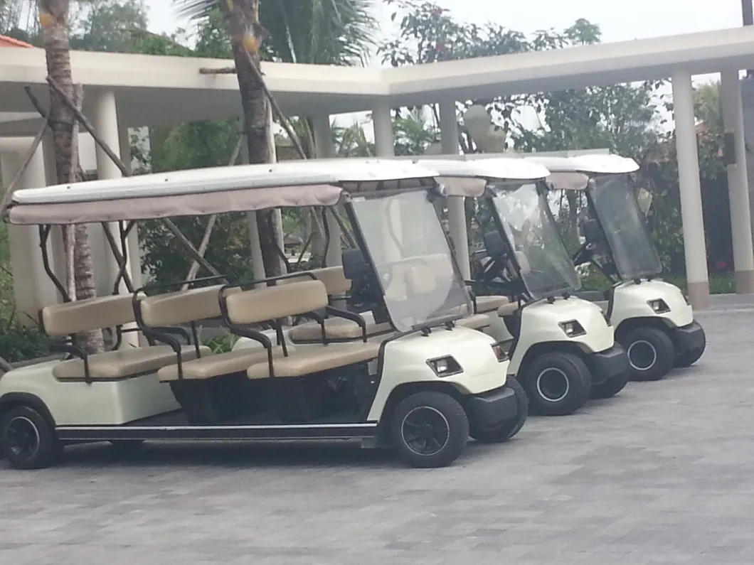 Battery 8 Seat Golf Car