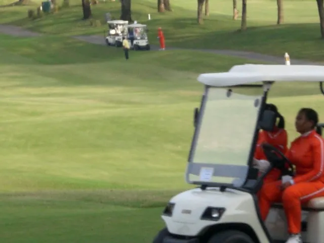 Battery Operated 2 Seaters Electric Hotel Cart