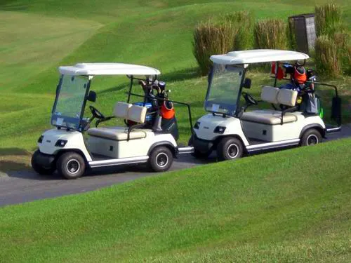 Battery Operated 2 Seaters Electric Hotel Cart