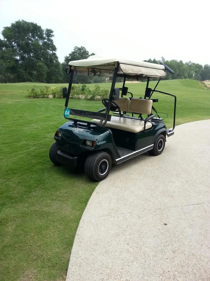 Battery Operated 2 Seaters Electric Hotel Cart