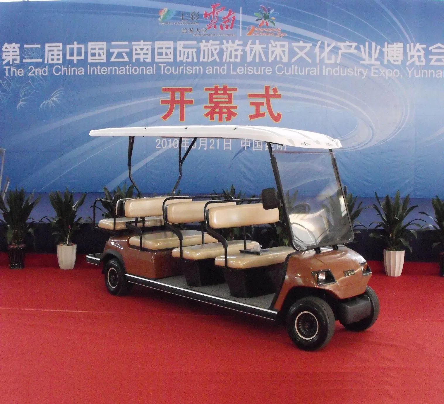 Battery Operated 8 Passenger Go Kart