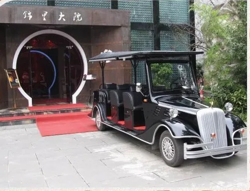 Battery Power 8 Person Electric Classic Bus