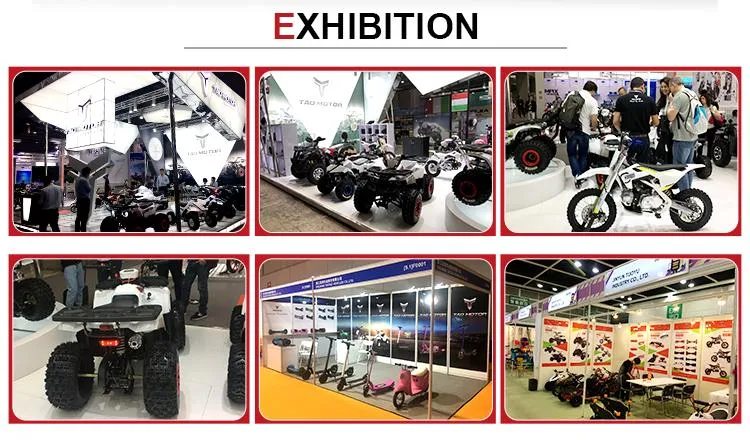 Best Selling Wholesale Trailmaster MID Xrx R Go Kart