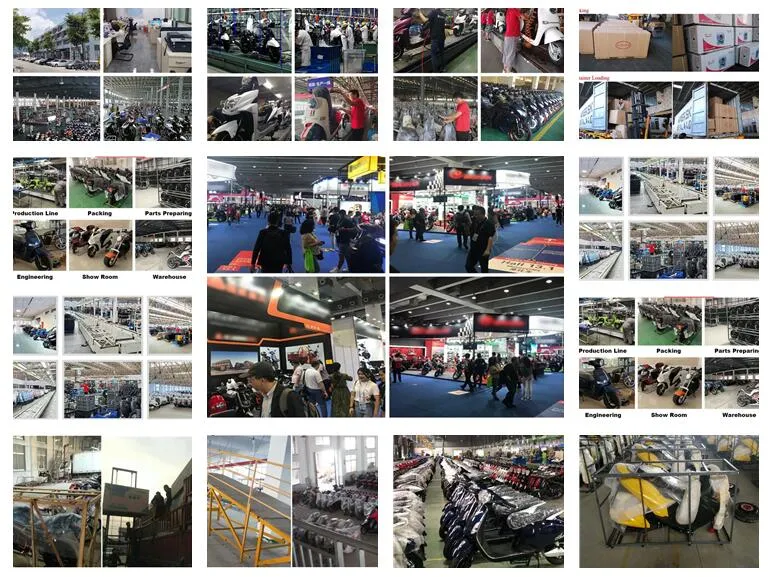 Best Selling Wholesale Trailmaster MID Xrx R Go Kart