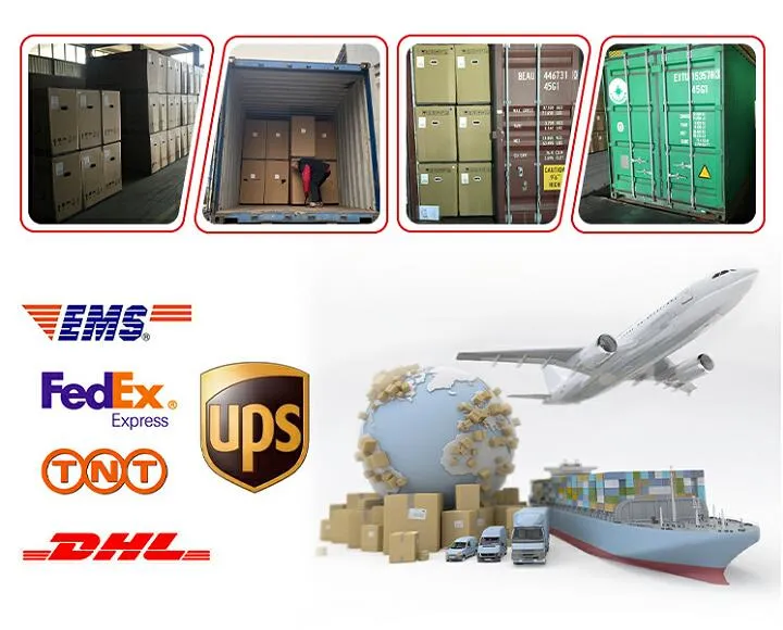 Best Selling Wholesale Trailmaster MID Xrx R Go Kart