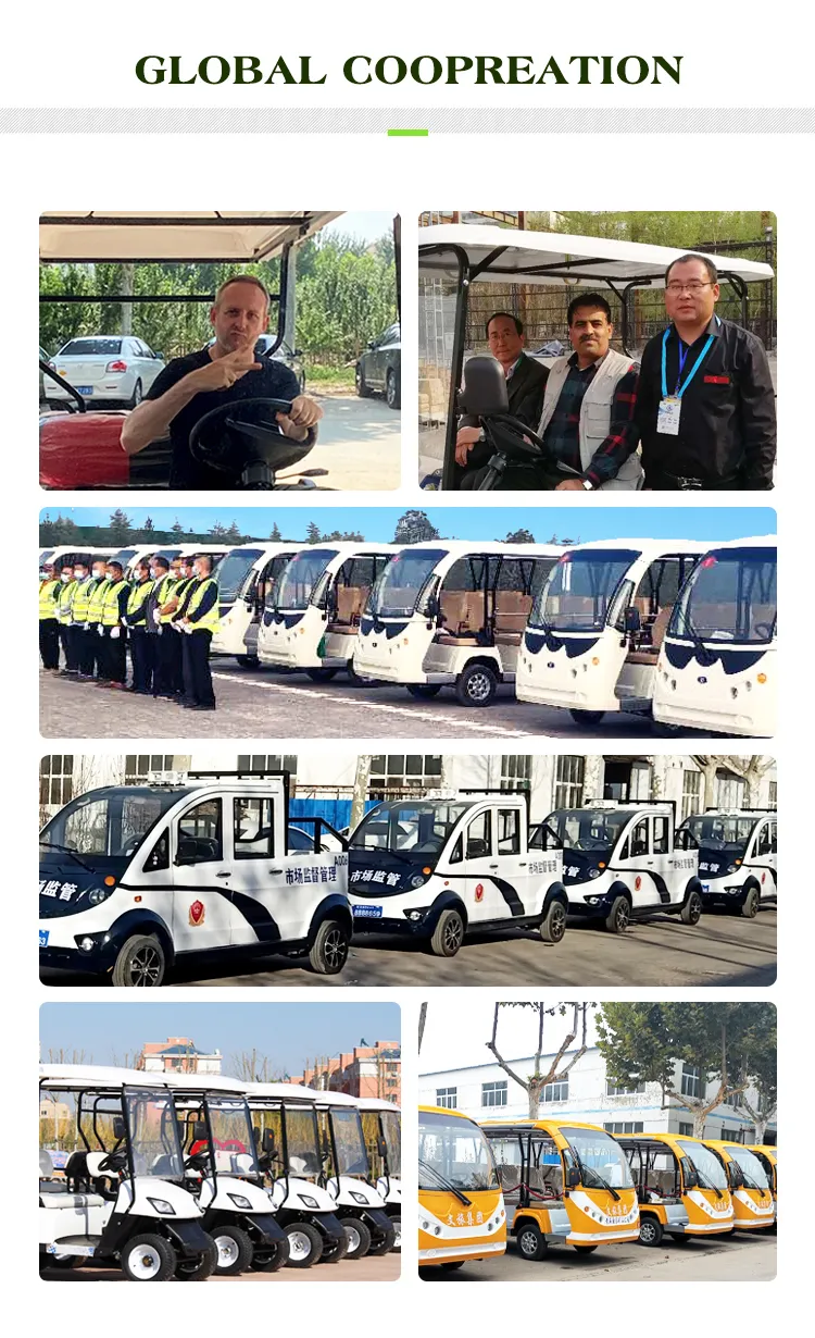 Can Be Cutomized Haike for Sale Golf Cart with CE Hkgr-A42