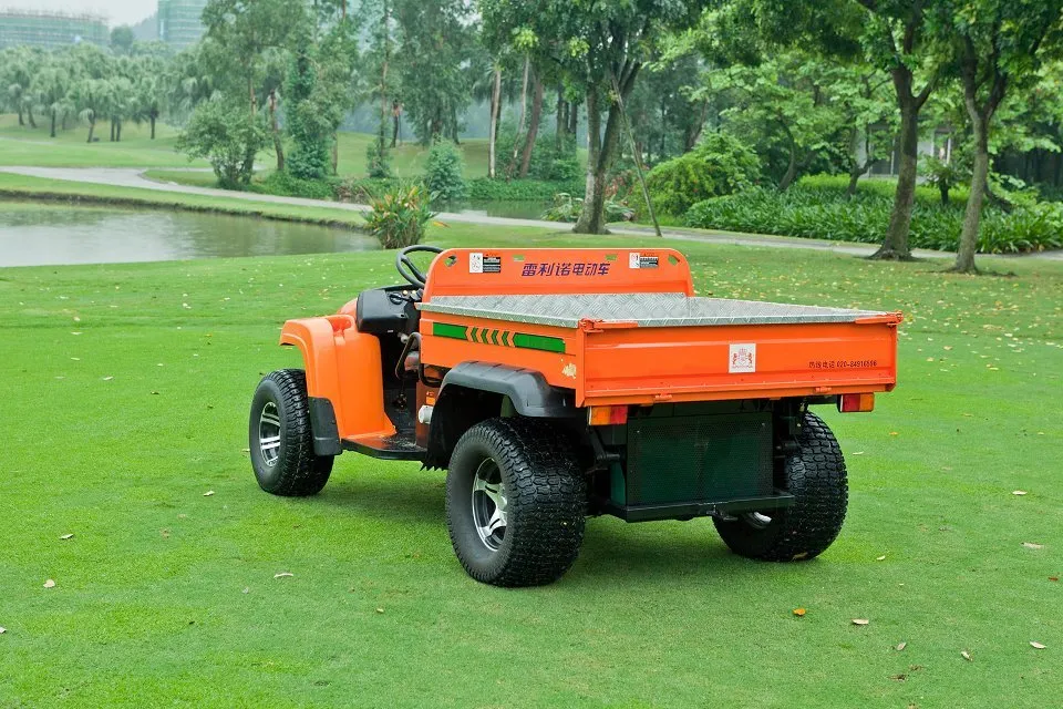 China 100km Range 48V Electric Utility Vehicle Cart
