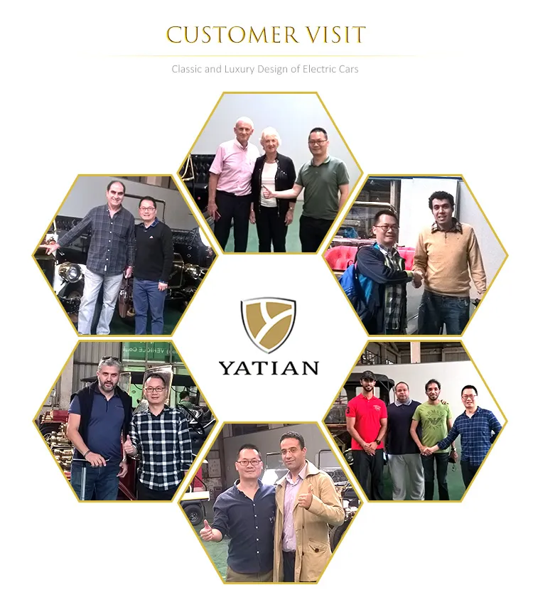 China 100km Range 48V Electric Utility Vehicle Cart