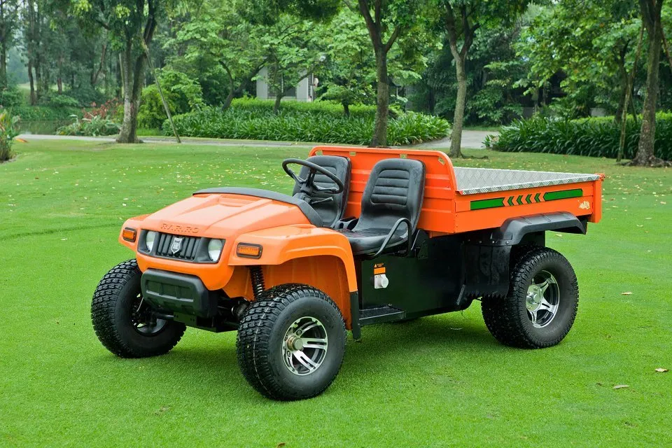 China 100km Range 48V Electric Utility Vehicle Cart