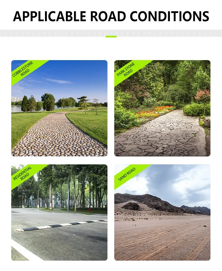 China 20-30 Km/H Hike VIP Container 2700*1200*1800mm Cart Golf Car