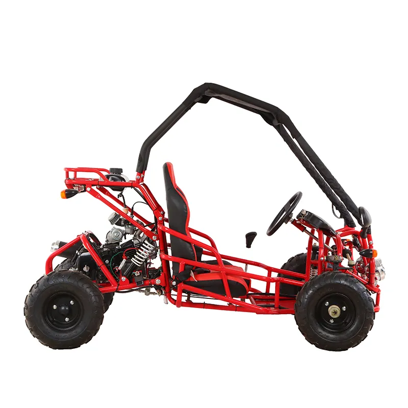 China 2021 New 110cc 2X4 Beach Buggy Sports Go Kart for Sales (G7-03)