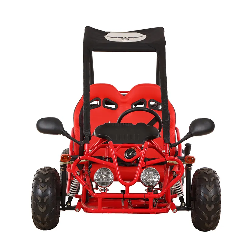 China 2021 New 110cc 2X4 Beach Buggy Sports Go Kart for Sales (G7-03)