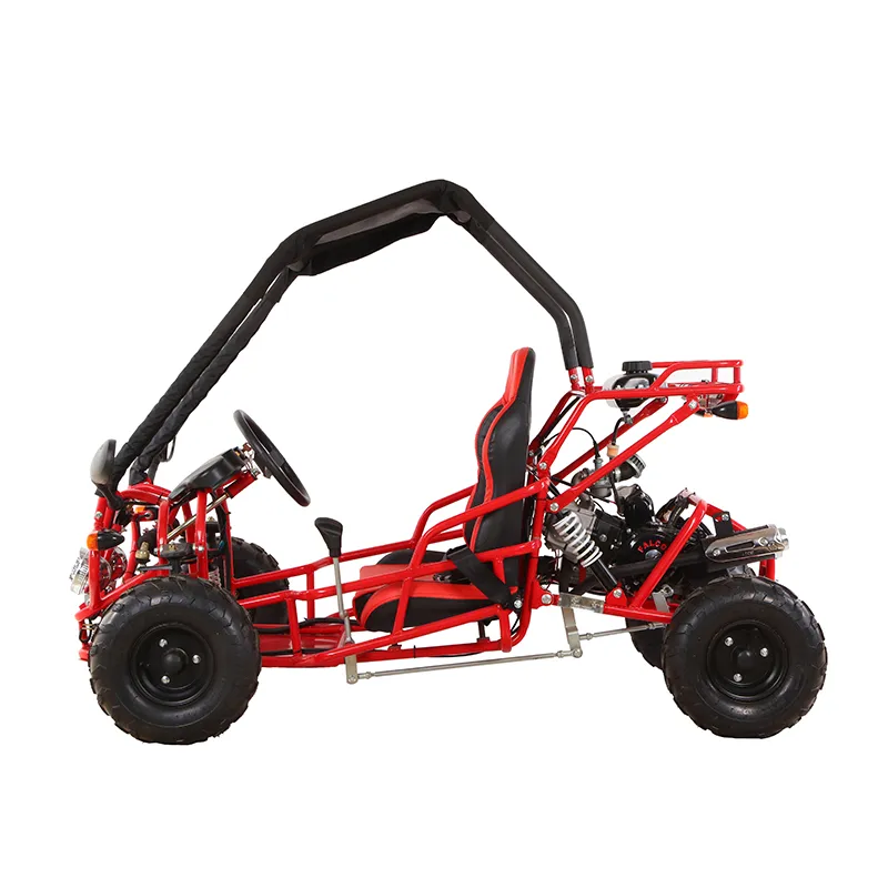 China 2021 New 110cc 2X4 Beach Buggy Sports Go Kart for Sales (G7-03)