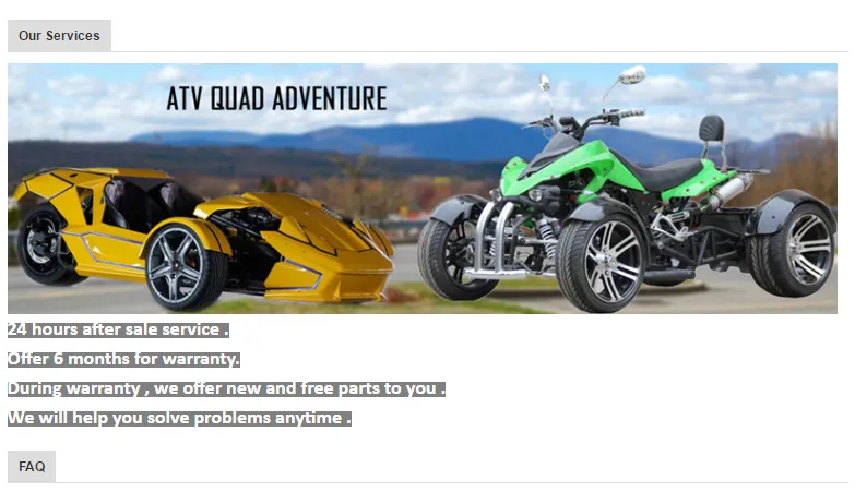 China New EEC/EPA 1100cc Adults Go Kart for Sale (MC-455)