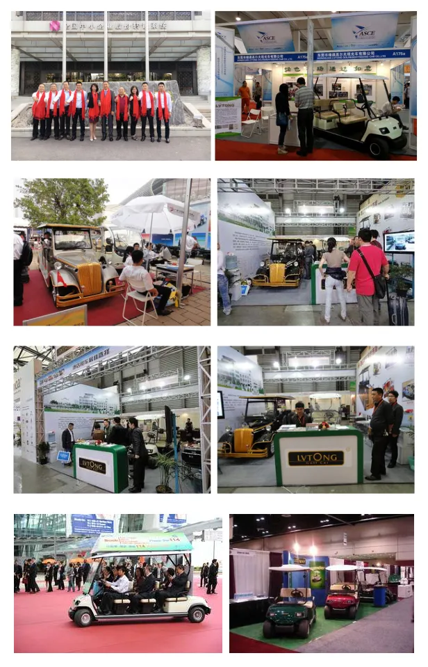 China Supplier 8 Seats Electric Classic Car (Lt-S8. FB)