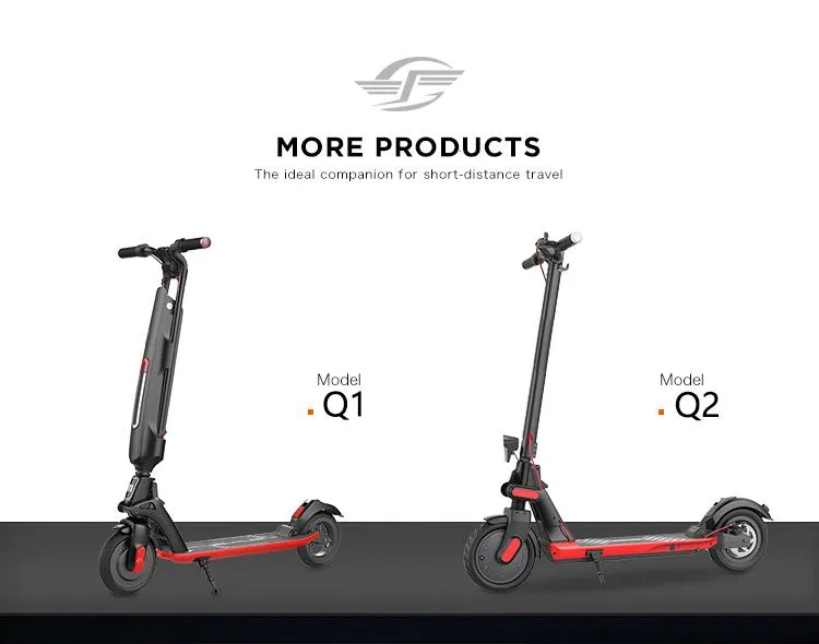 Chinese Electric Scooter for Old People 500W Electric Bike with Pedals Customized E Bike Sharing Adult