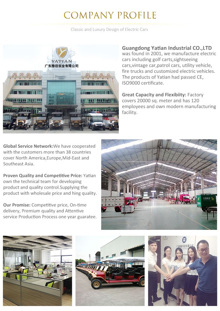 Classic Customized Recreational Vehicle/Electrict Touring Classic Car