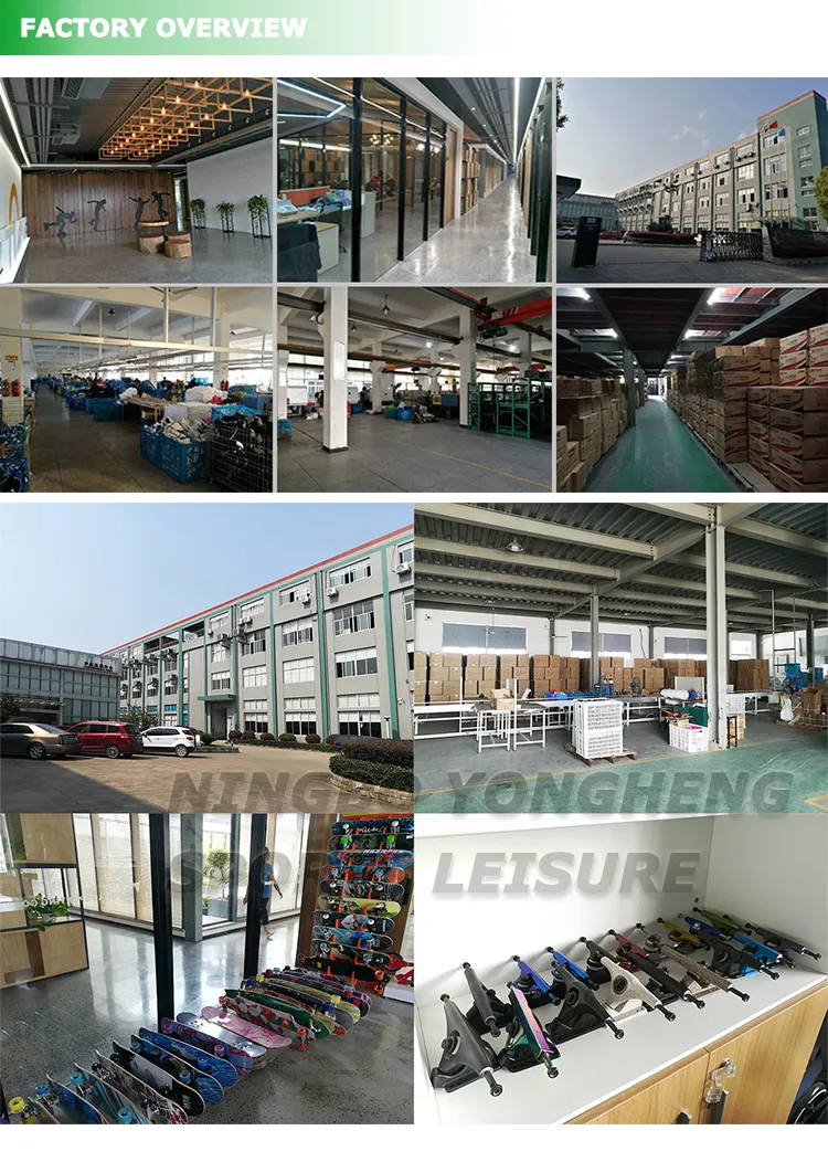 Complete 22′′ Mini Cruiser Skateboard for Beginner with Sturdy Deck