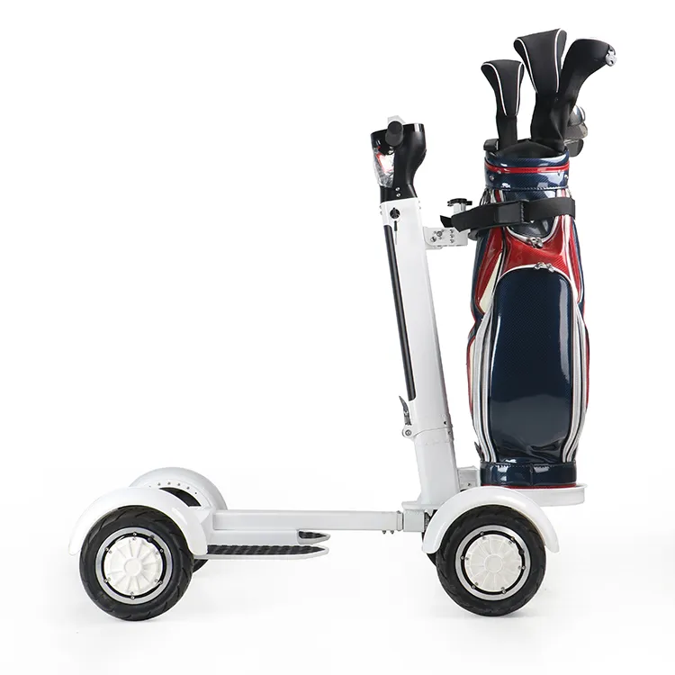 Ecorider E7-1 Foldable 1000W 48V Electric Golf Skateboard 10 Inch Tire Four Wheels Golf Board Scooter with Seat Option