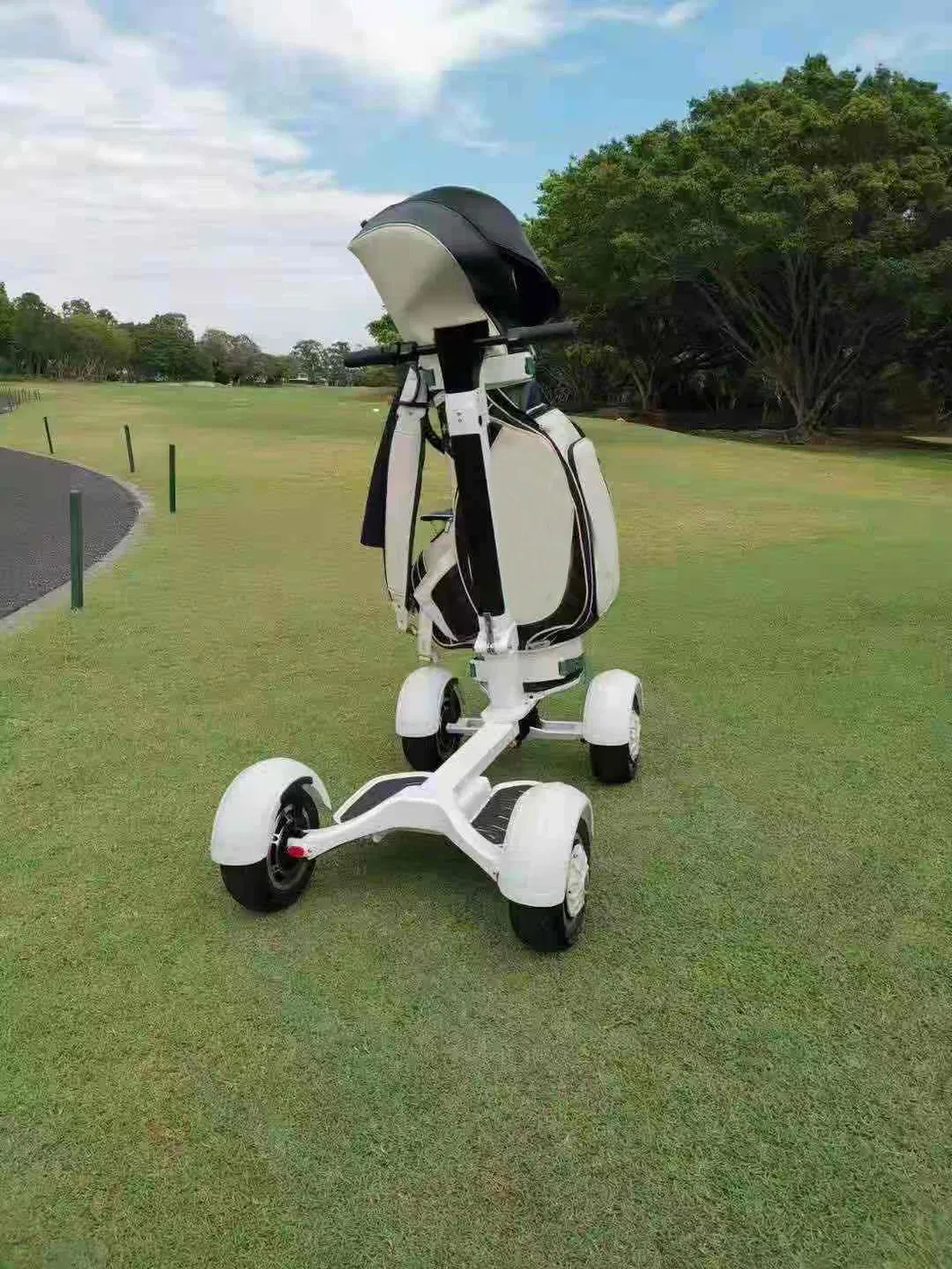 Ecorider E7-1 Foldable 1000W 48V Electric Golf Skateboard 10 Inch Tire Four Wheels Golf Board Scooter with Seat Option