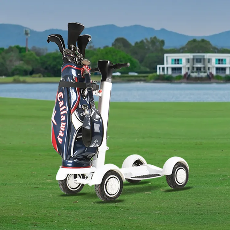 Ecorider Factory Supply 1000W 36V Golf Board Electric Scooters 4 Wheel Electric Golf Carts