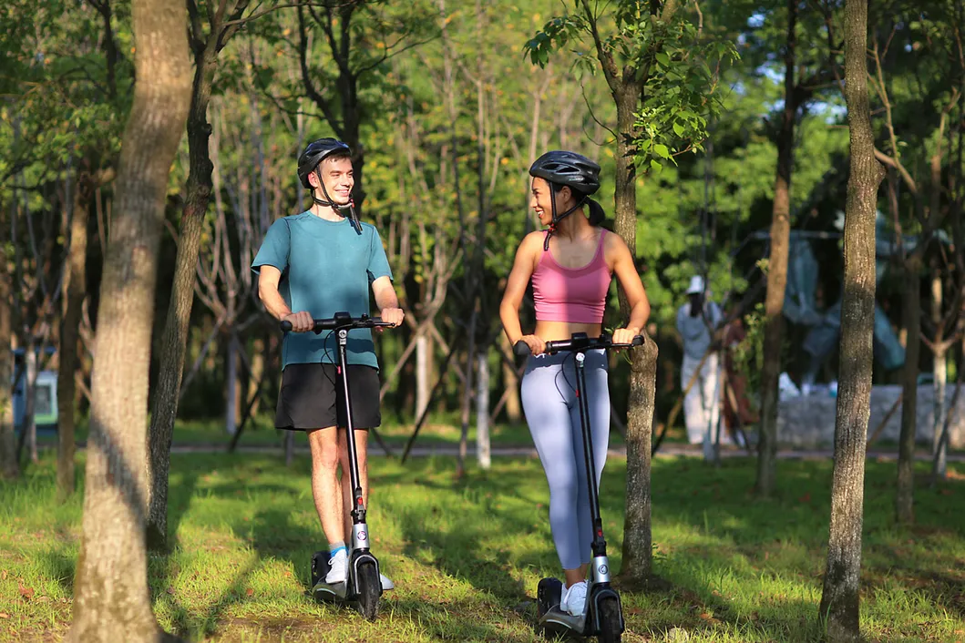 Ekfv Compliant 300W Power Scooter-Electric with Abe License Electric Scooter