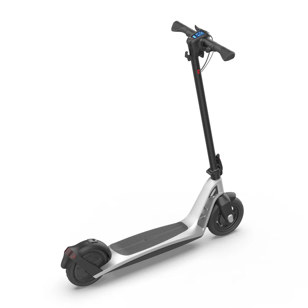 Ekfv Compliant 300W Power Scooter-Electric with Abe License Electric Scooter
