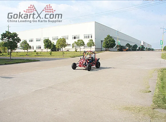 Factory Driect Sell off-Road 2 Seater 150cc Go Kart