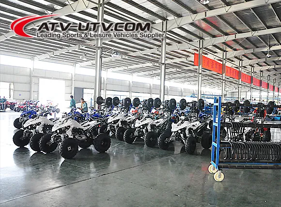 Factory Driect Sell off-Road 2 Seater 150cc Go Kart