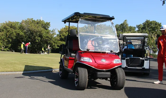 Factory Sales Fast Charging 4 Seater Golf Cart with Lithium Battery