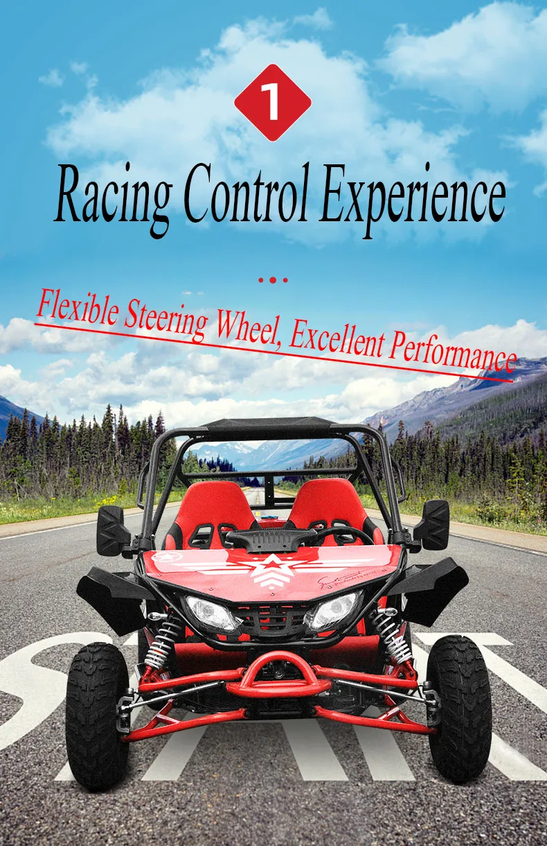 Gasoline 4 Stroke 200cc Racing Go Kart for Sale, off Road Dune Buggy for Adults