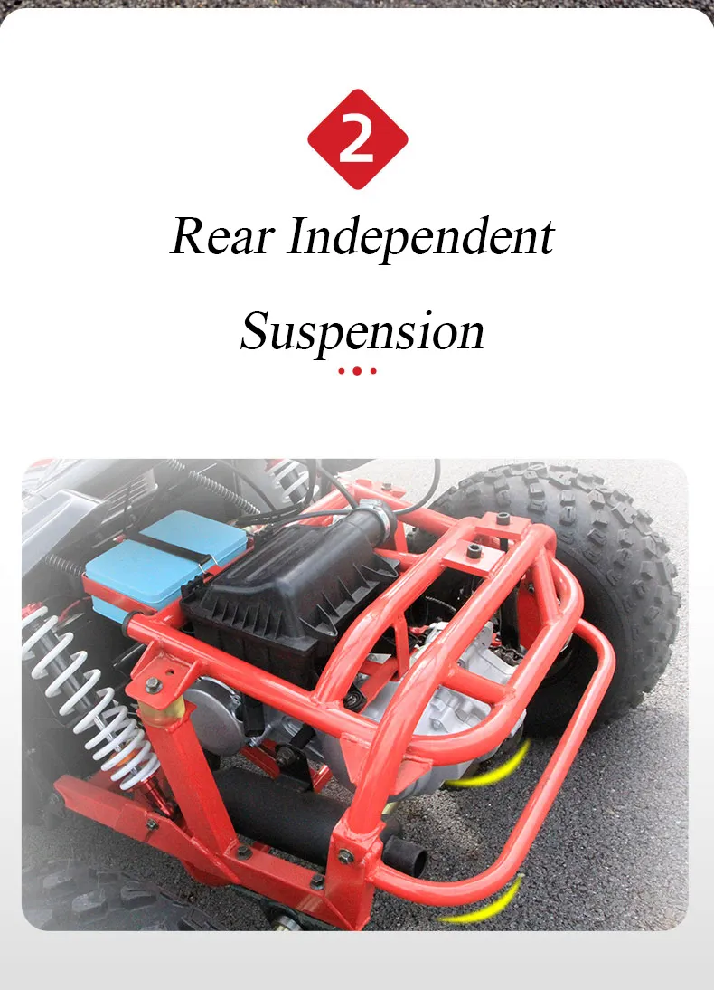 Gasoline 4 Stroke 200cc Racing Go Kart for Sale, off Road Dune Buggy for Adults